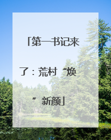 第一书记来了：荒村“焕”新颜