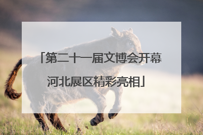 第二十一届文博会开幕 河北展区精彩亮相