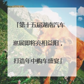 第十五届湖南汽车巡展即将亮相益阳，打造年中购车盛宴