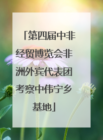 第四届中非经贸博览会非洲外宾代表团考察中伟宁乡基地