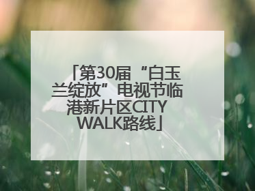 第30届“白玉兰绽放”电视节临港新片区CITY WALK路线