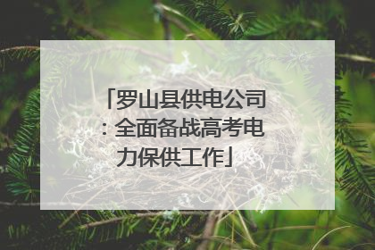 罗山县供电公司：全面备战高考电力保供工作