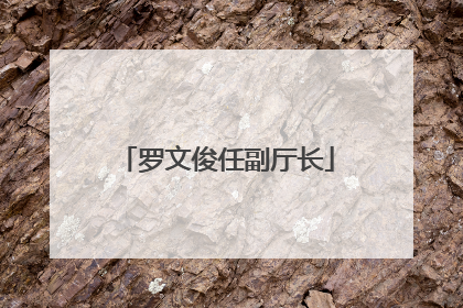 罗文俊任副厅长