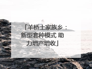 羊桥土家族乡：新型套种模式 助力增产增收