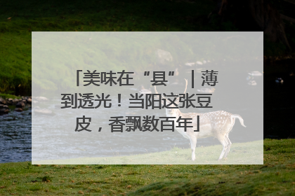 美味在“县”｜薄到透光！当阳这张豆皮，香飘数百年