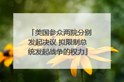 美国参众两院分别发起决议 拟限制总统发起战争的权力