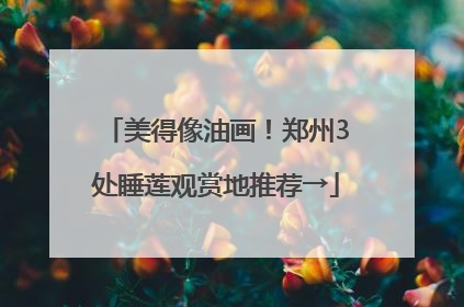 美得像油画！郑州3处睡莲观赏地推荐→