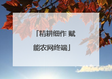 精耕细作 赋能农网终端