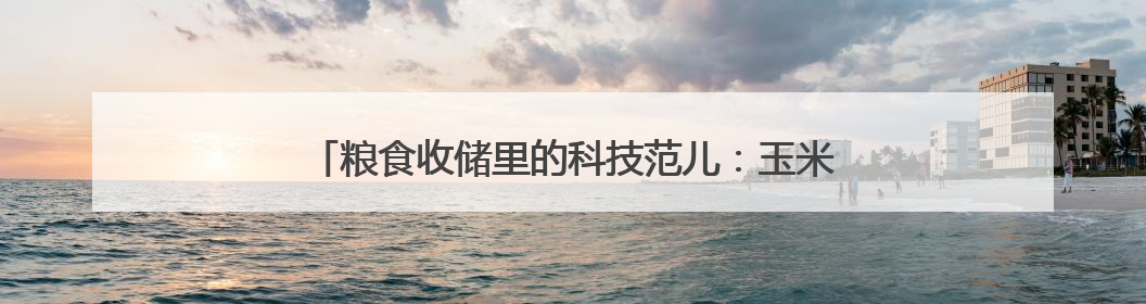 粮食收储里的科技范儿：玉米住进空调房 粮仓披上隔热罩