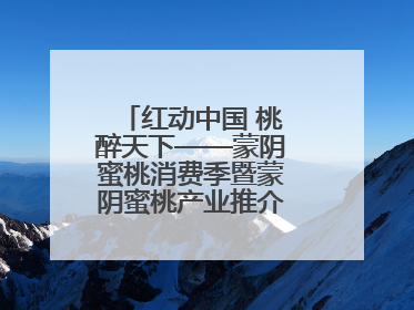 红动中国 桃醉天下——蒙阴蜜桃消费季暨蒙阴蜜桃产业推介会成功举办