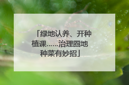 绿地认养、开种植课……治理圈地种菜有妙招