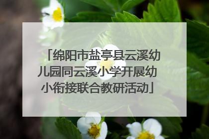 绵阳市盐亭县云溪幼儿园同云溪小学开展幼小衔接联合教研活动