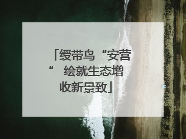 绶带鸟“安营” 绘就生态增收新景致