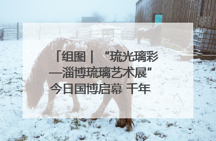 组图｜“琉光璃彩—淄博琉璃艺术展”今日国博启幕 千年窑火绽放京城