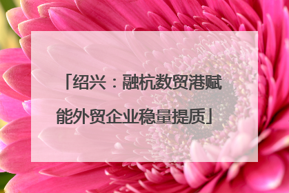 绍兴：融杭数贸港赋能外贸企业稳量提质