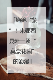 绝绝“紫”！来郧西县赴一场“莫奈花园”的浪漫