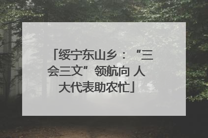 绥宁东山乡：“三会三文”领航向 人大代表助农忙