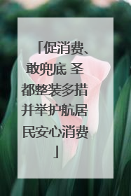 促消费、敢兜底 圣都整装多措并举护航居民安心消费