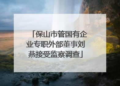 保山市管国有企业专职外部董事刘燕接受监察调查
