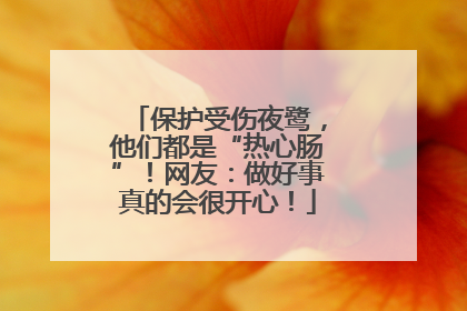 保护受伤夜鹭，他们都是“热心肠”！网友：做好事真的会很开心！