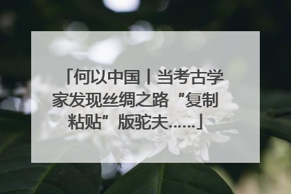 何以中国丨当考古学家发现丝绸之路“复制粘贴”版驼夫……