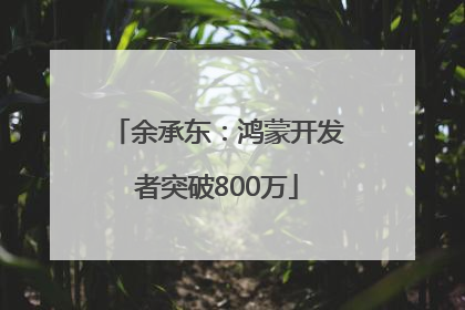 余承东：鸿蒙开发者突破800万