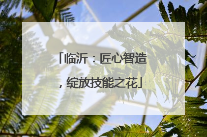 临沂：匠心智造，绽放技能之花