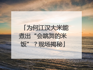为何江汉大米能煮出“会跳舞的米饭”？现场揭秘