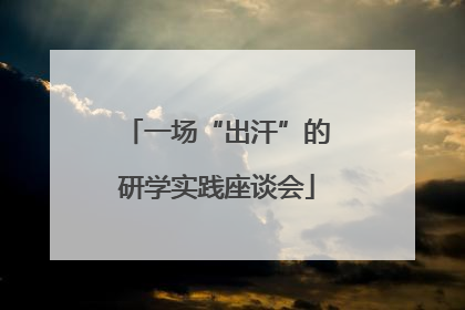 一场“出汗”的研学实践座谈会