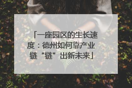 一座园区的生长速度：德州如何靠产业链“链”出新未来