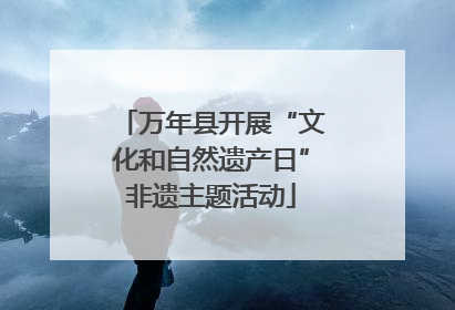 万年县开展“文化和自然遗产日”非遗主题活动