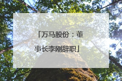 万马股份：董事长李刚辞职