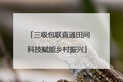 三级包联直通田间 科技赋能乡村振兴