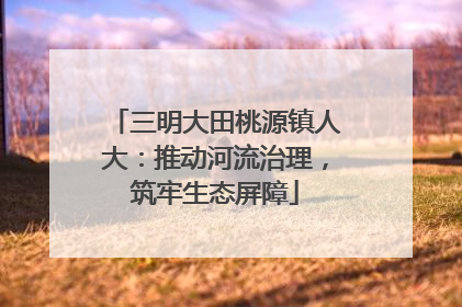 三明大田桃源镇人大：推动河流治理，筑牢生态屏障