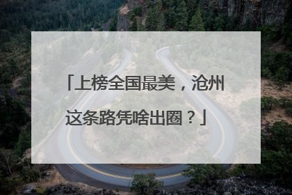 上榜全国最美，沧州这条路凭啥出圈？