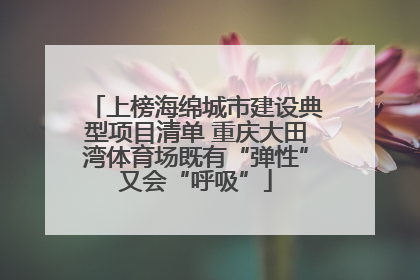 上榜海绵城市建设典型项目清单 重庆大田湾体育场既有“弹性”又会“呼吸”