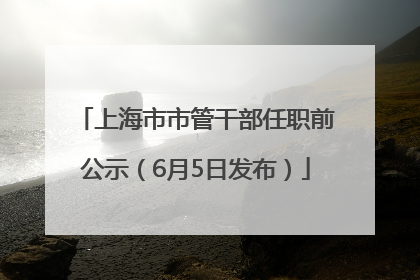 上海市市管干部任职前公示（6月5日发布）