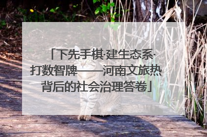下先手棋·建生态系·打数智牌——河南文旅热背后的社会治理答卷