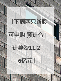 下周两只新股可申购 预计合计募资11.26亿元
