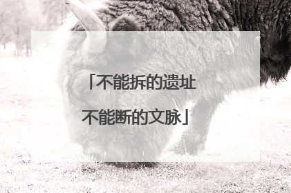 不能拆的遗址 不能断的文脉