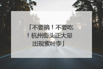 不要摘！不要吃！杭州街头正大量出现紫叶李