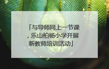 与导师同上一节课，乐山柏杨小学开展新教师培训活动