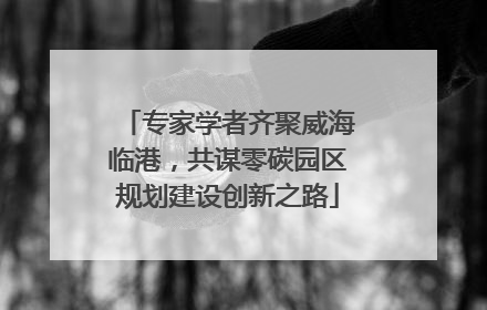 专家学者齐聚威海临港，共谋零碳园区规划建设创新之路