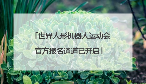 世界人形机器人运动会官方报名通道已开启