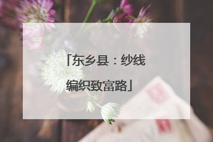 东乡县：纱线编织致富路