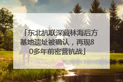 东北抗联深藏林海后方基地遗址被确认，再现80多年前密营抗战