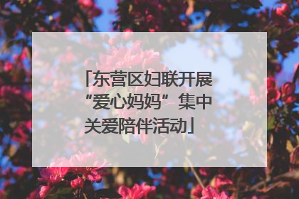 东营区妇联开展“爱心妈妈”集中关爱陪伴活动