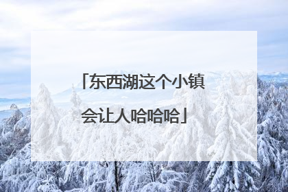 东西湖这个小镇会让人哈哈哈