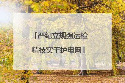 严纪立规强运检 精技实干护电网