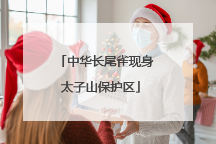 中华长尾雀现身太子山保护区